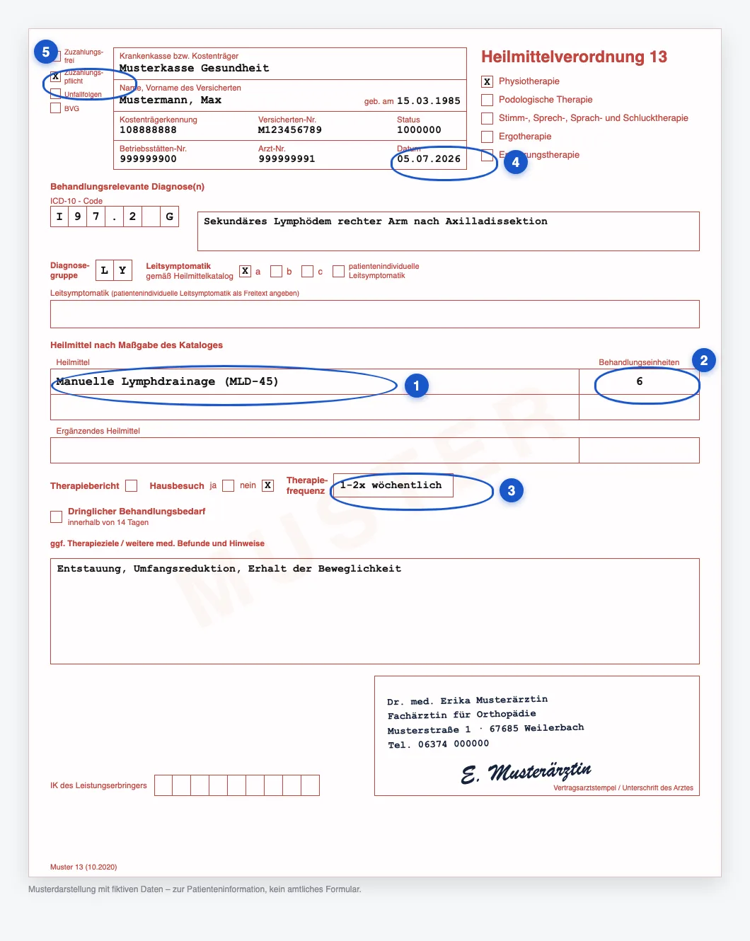 Heilmittelverordnung Muster 13 für Manuelle Lymphdrainage (MLD-45) erklärt: markiert sind Heilmittel, Behandlungseinheiten, Therapiefrequenz, Ausstellungsdatum und Zuzahlung